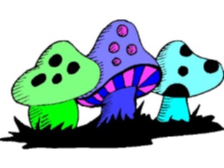 Sticker Custom Preview Image #105080 Plants Flowers General Mushroom20