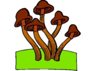 Sticker Custom Preview Image #105091 Plants Flowers General Mushrooms02