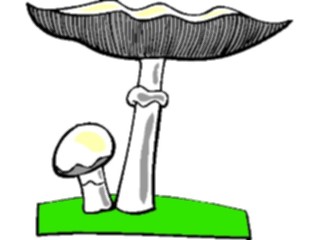 Sticker Custom Preview Image #105092 Plants Flowers General Mushrooms03