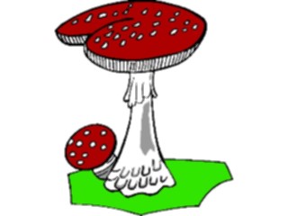 Sticker Custom Preview Image #105093 Plants Flowers General Mushrooms04
