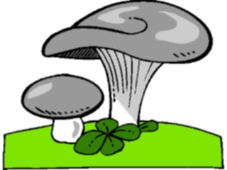 Sticker Custom Preview Image #105094 Plants Flowers General Mushrooms05