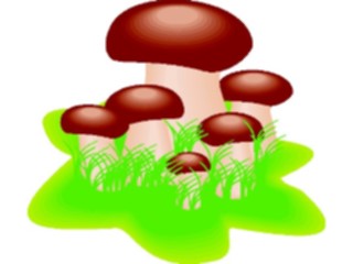 Sticker Custom Preview Image #105099 Plants Flowers General Mushrooms10