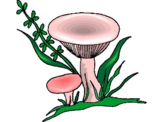 Sticker Custom Preview Image #105100 Plants Flowers General Mushrooms11