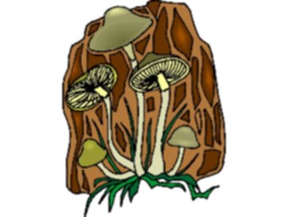 Sticker Custom Preview Image #105101 Plants Flowers General Mushrooms12