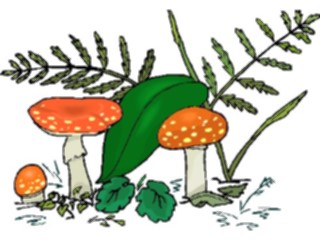 Sticker Custom Preview Image #105103 Plants Flowers General Mushrooms14