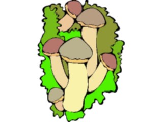 Sticker Custom Preview Image #105105 Plants Flowers General Mushrooms16