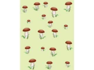 Sticker Custom Preview Image #105109 Plants Flowers General Mushrooms Background