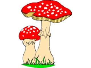 Sticker Custom Preview Image #105110 Plants Flowers General Mushrooms Spotted