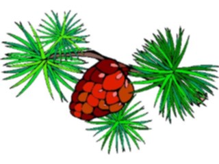 Sticker Custom Preview Image #105116 Plants Flowers General Pine Cone3