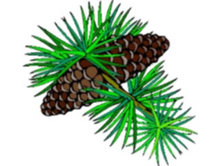 Sticker Custom Preview Image #105118 Plants Flowers General Pine Cones2