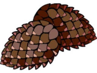 Sticker Custom Preview Image #105120 Plants Flowers General Pine Cones4