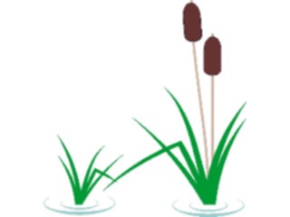 Sticker Custom Preview Image #105129 Plants Flowers General Reeds01