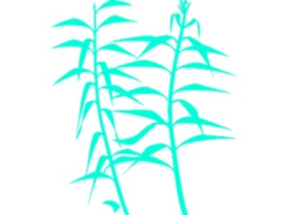 Sticker Custom Preview Image #105131 Plants Flowers General Reeds03