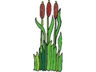 Sticker Custom Preview Image #105132 Plants Flowers General Reeds04