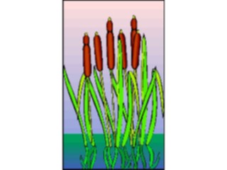 Sticker Custom Preview Image #105134 Plants Flowers General Reeds06