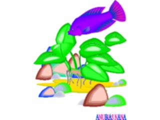 Sticker Custom Preview Image #105181 Plants Flowers Plants Anubias Nana