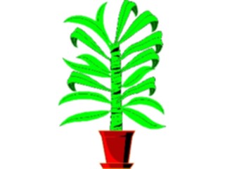 Sticker Custom Preview Image #105183 Plants Flowers Plants Cane Plant