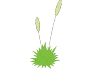 Sticker Custom Preview Image #105184 Plants Flowers Plants Cattails1