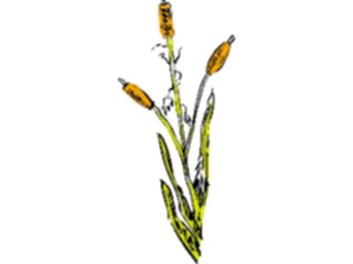 Sticker Custom Preview Image #105185 Plants Flowers Plants Cattails2