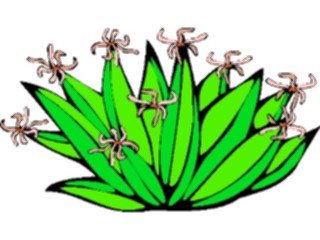 Sticker Custom Preview Image #105397 Plants Flowers Plants Plant189