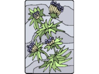 Sticker Custom Preview Image #105404 Plants Flowers Plants Plant196