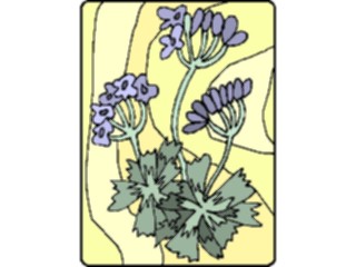 Sticker Custom Preview Image #105405 Plants Flowers Plants Plant197