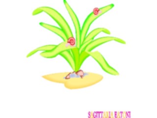 Sticker Custom Preview Image #105494 Plants Flowers Plants Sagittaria Eatoni