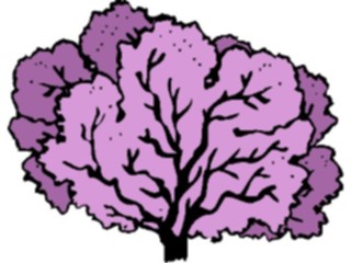 Sticker Custom Preview Image #105497 Plants Flowers Plants Seafan2