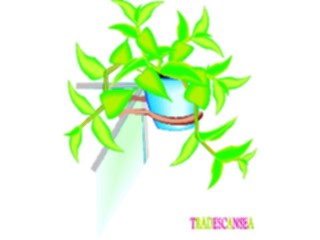 Sticker Custom Preview Image #105500 Plants Flowers Plants Tradescansea