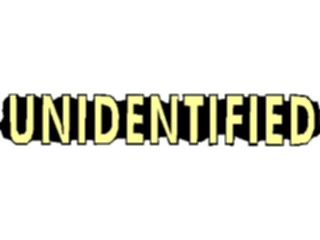 Sticker Custom Preview Image #106105 Police Fire Unidentified Title