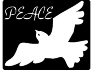 Sticker Custom Preview Image #108758 Religion Ceremonies Prayer Peace Dove