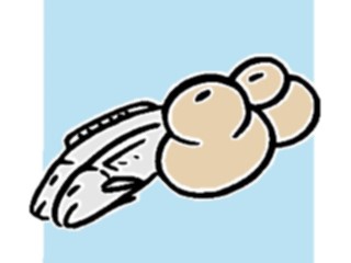 Sticker Custom Preview Image #110055 Religion Objects Symbols Fish Bread2