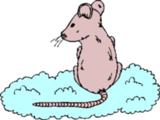 Sticker Custom Preview Image #110210 Religion Objects Symbols On Cloud Rat