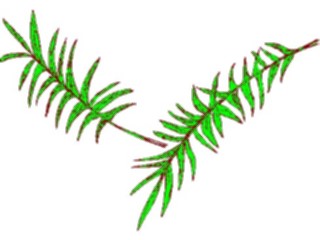 Sticker Custom Preview Image #110215 Religion Objects Symbols Palm Branches