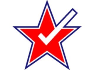 Sticker Custom Preview Image #115966 Shapes Simple Check Star3