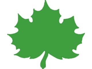 Sticker Custom Preview Image #116199 Shapes Simple Leaf8