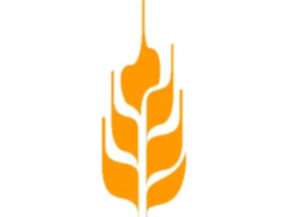 Sticker Custom Preview Image #116559 Shapes Simple Wheat2