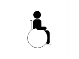 Sticker Custom Preview Image #117437 Signs Handicapped General4