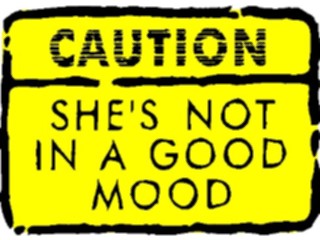 Sticker Custom Preview Image #117605 Signs Humorous Notin Good Mood She