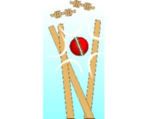 Sticker Custom Preview Image #122361 Sports Other Cricket Equipment01