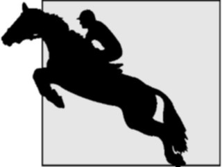 Sticker Custom Preview Image #123166 Sports Silhouettes Equestrian1