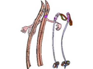 Sticker Custom Preview Image #124262 Sports Winter Sports Skis6