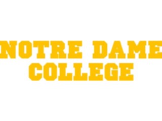 Sticker Custom Preview Image #127174 Titles College Names Notre Dame College