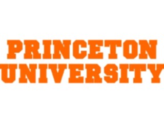 Sticker Custom Preview Image #127176 Titles College Names Princeton University