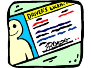 Sticker Custom Preview Image #130598 Transportation Cartoons Drivers License