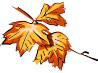 Sticker Custom Preview Image #132471 Trees Leaves Leaves Autumn