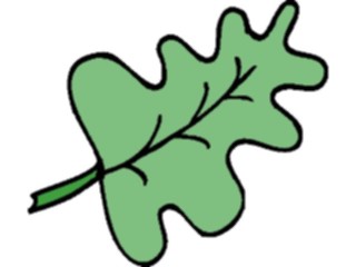 Sticker Custom Preview Image #132559 Trees Leaves Leaves Leaf083