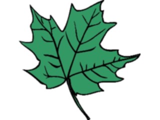 Sticker Custom Preview Image #132568 Trees Leaves Leaves Leaf092