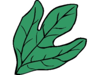 Sticker Custom Preview Image #132569 Trees Leaves Leaves Leaf093