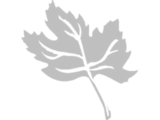 Sticker Custom Preview Image #132575 Trees Leaves Leaves Leaf099